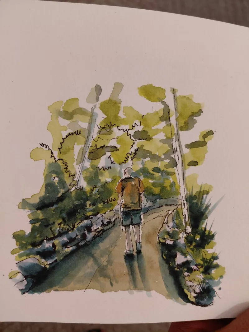 Un randonneur sur un chemin bordé d'arbres, à l'encre et à l'aquarelle.